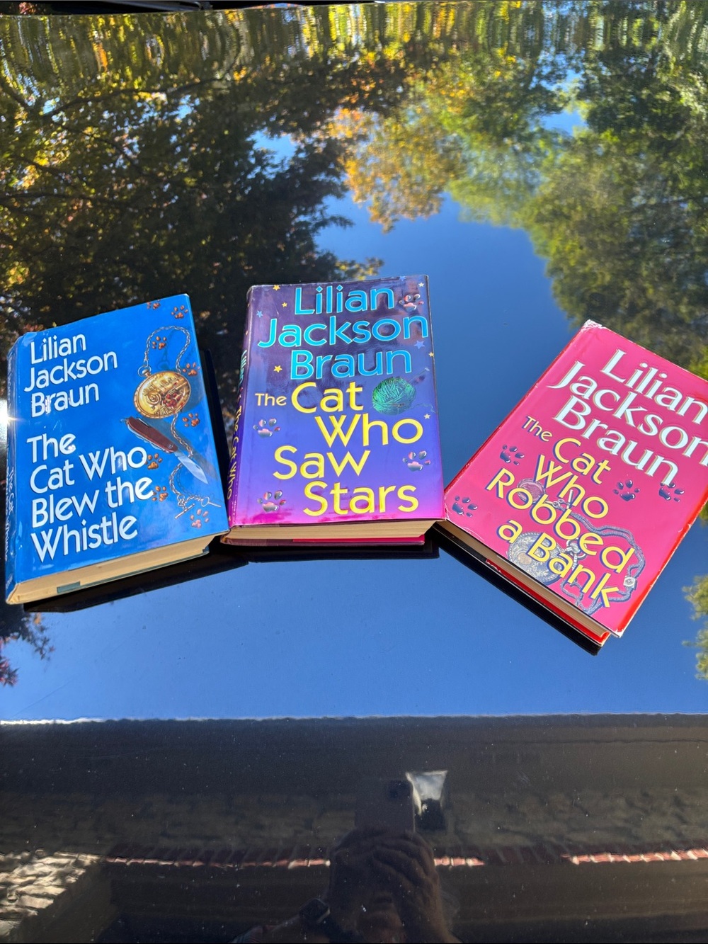 Lillian Jackson Braun, Cat story books